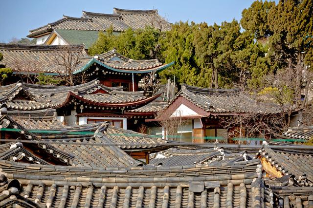韓國景區遍地垃圾，但中國遊客很久沒去了，韓國人：那就是日本人