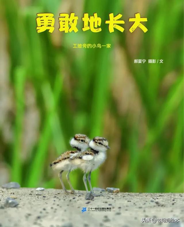 2021第四届“大鹏自然童书奖”十大自然童书