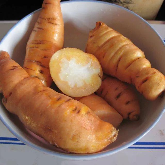 野地黄，本色自在，最是潇洒