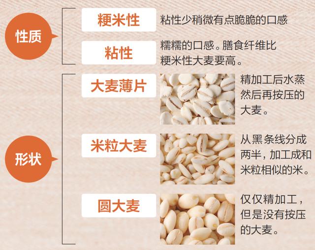 大麦的营养价值：抑制餐后高血糖、减少内脏脂肪