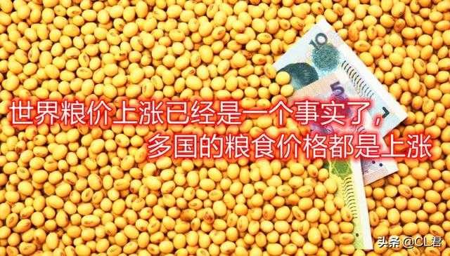 国际粮价动荡，玉米、豆粕价格疯涨，猪价飘红，物价开始上涨？