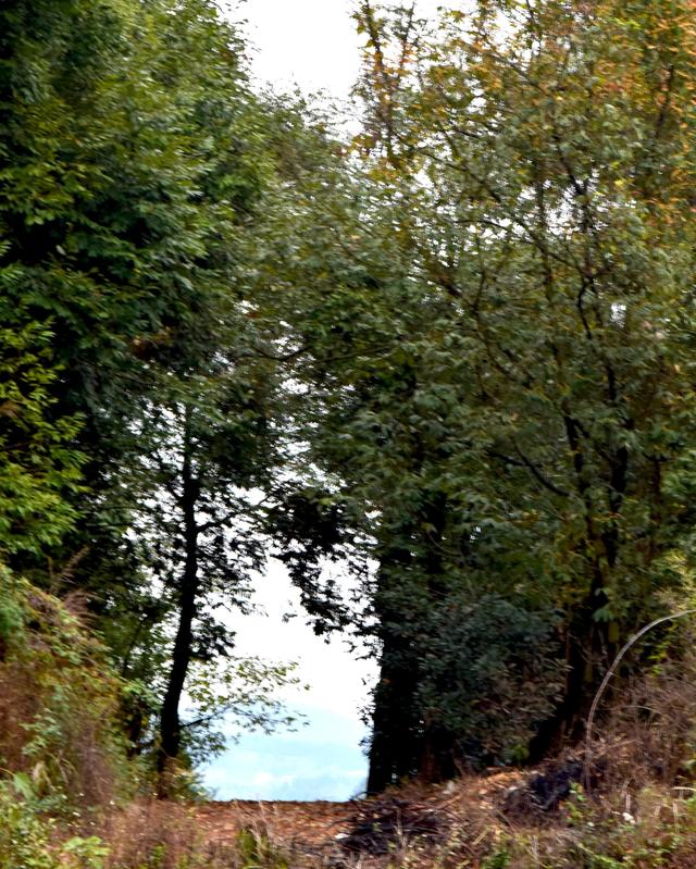 貴州金沙，踏紅軍足迹，觀古道山水，進溶洞探險