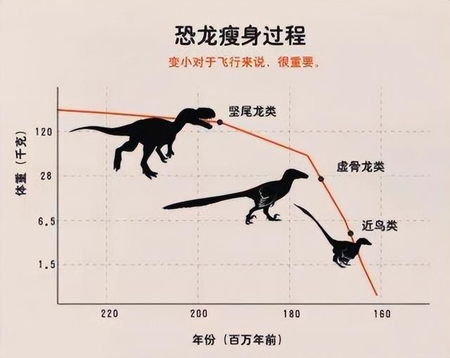 原来鸡也是恐龙的后裔