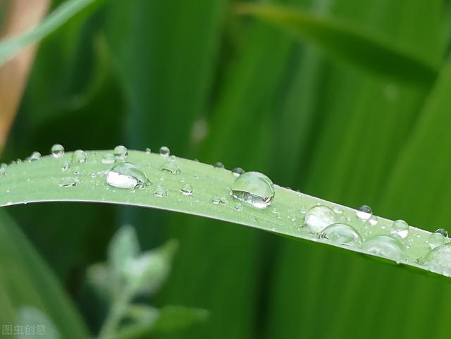 五一恰逢四月初一，为啥说“四月怕初一”？下雨好不好？农谚咋说