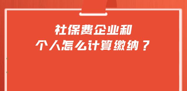 社保费企业和个人怎么计算缴纳 「企业社保怎么计算」