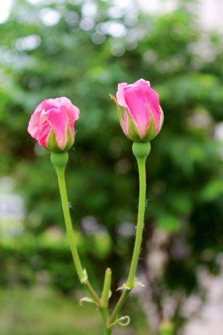 《致敬夏天》