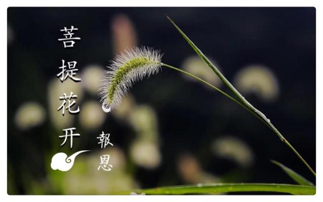 老农拼命救下奄奄一息的小红军，多年后成为开国将军：我来报恩了