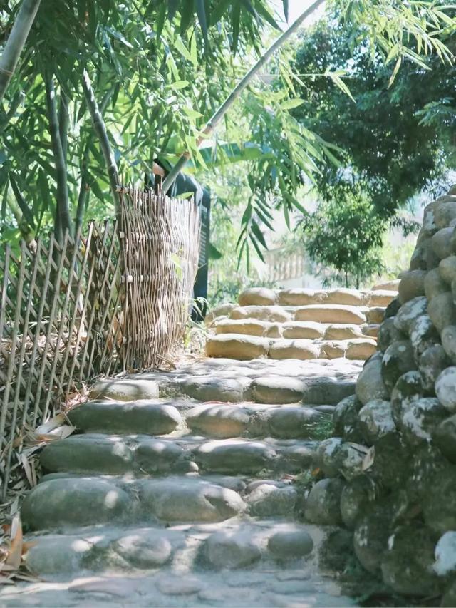 闽清印刷机械展价钱