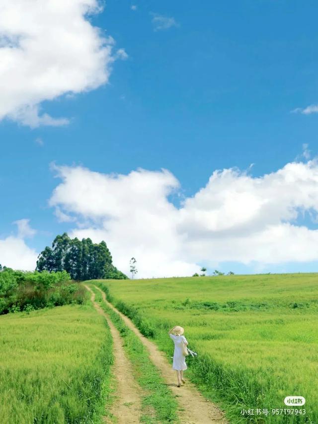 成都周边旅游