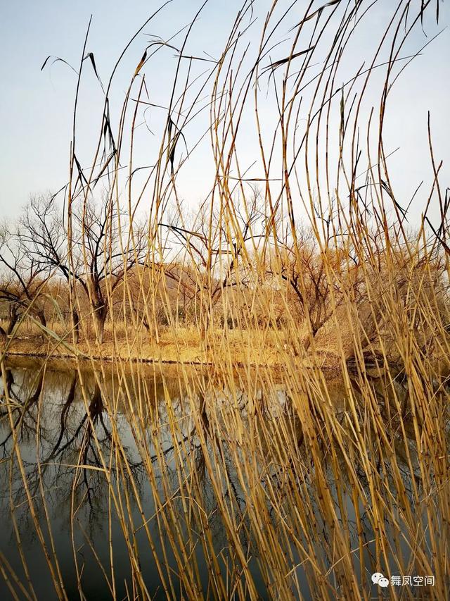 房山牛口峪濕地公園，沒想到風景如此優美