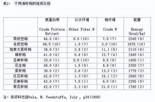 猪饲料比大米还贵，中国人还能“吃肉自由”吗？