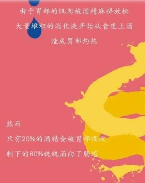 为什么要戒酒？科普：喝酒后人体24小时的变化，看完你还会喝酒吗