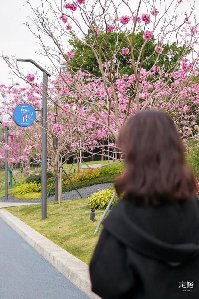 海口洗砂机价格