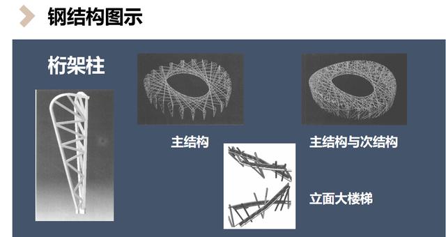 鸟巢简介