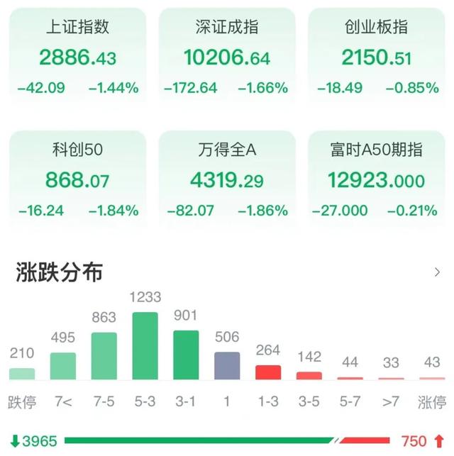 基金在大盘整体下跌的情况下「跌破前期低点后续会有什么走势」