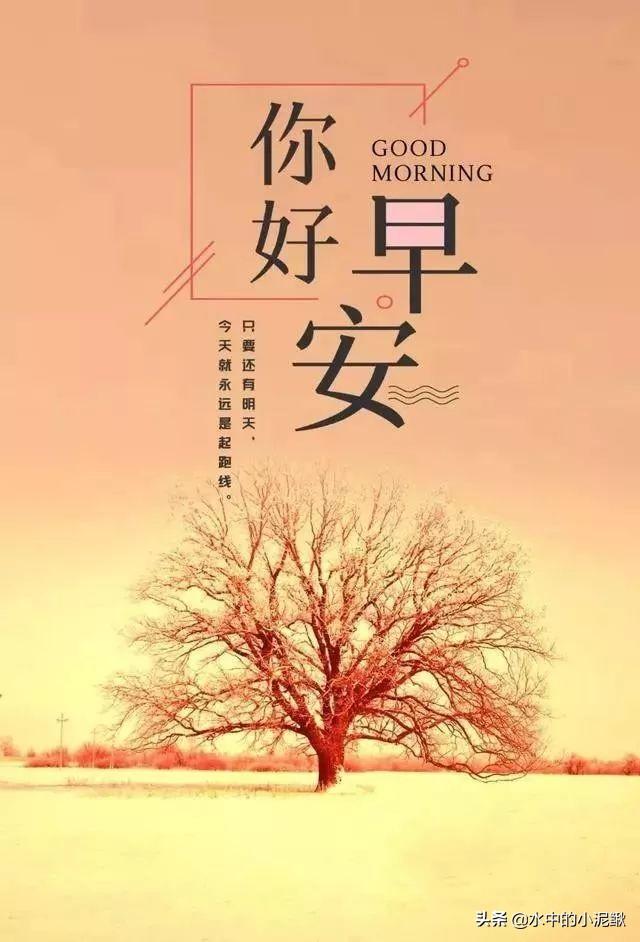 早安心灵鸡汤句句经典正能量，最棒的微信早安语录句子