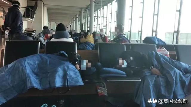 起飞前十分钟取消航班！200余名乘客滞留苏黎世：“我们想回家”