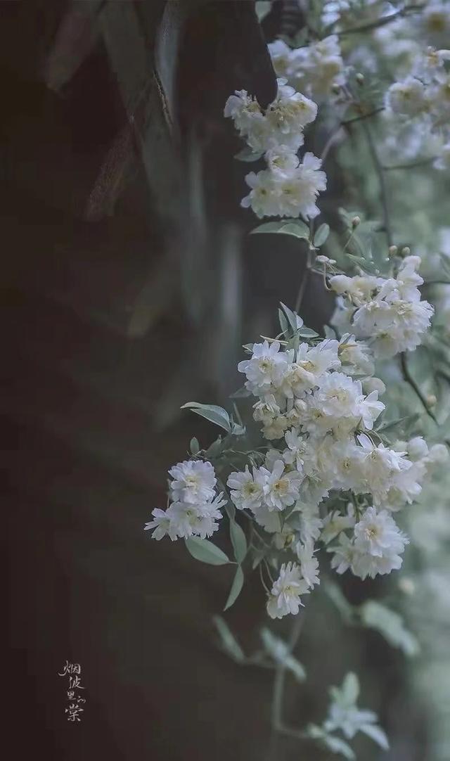 不辜负自己，不辜负时光，善于感知自我，才能让人生更加精彩