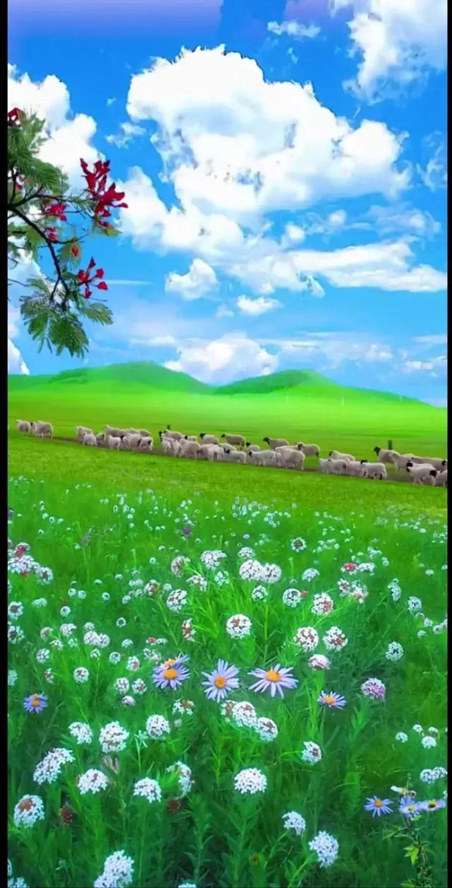 给我鼓掌掌，智慧精灵撒花了