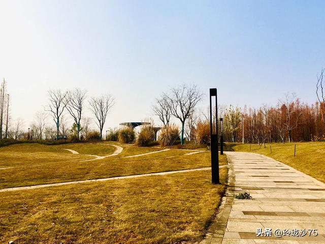 長沙唯一擁有戶外足球場的公園，更有大片水杉美景等你來