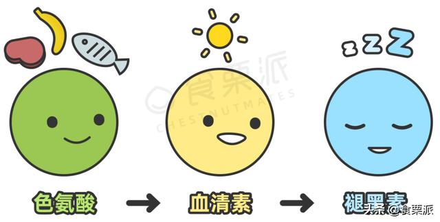 国外潮流行的“助眠食谱”，亲测有效