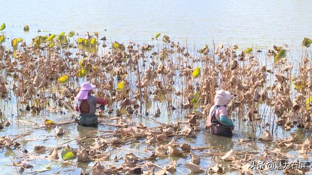 「节日我在岗」坚守岗位 只为异龙湖水清岸绿景美