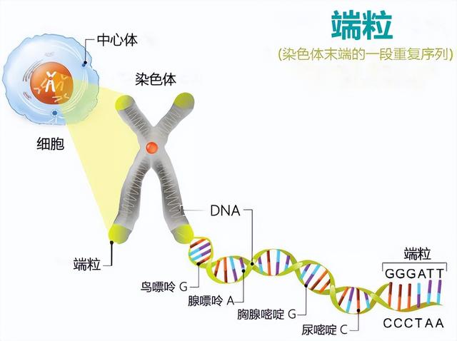 文章图片1