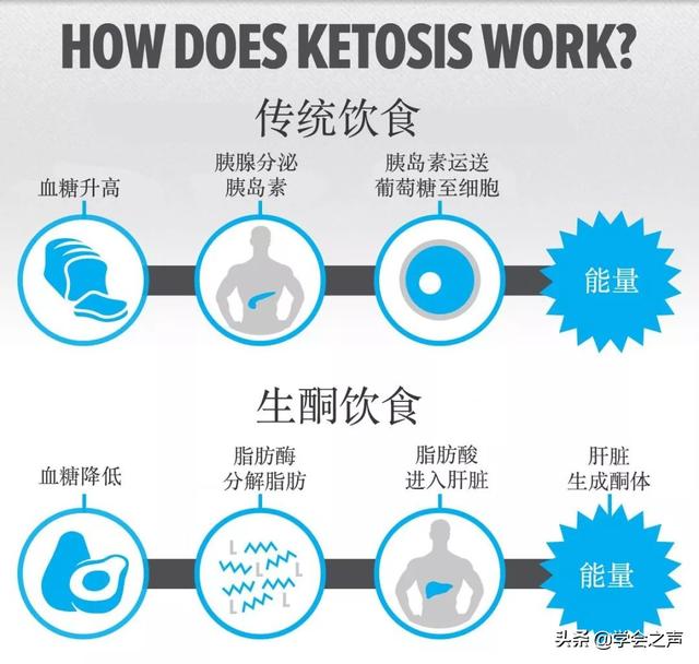 真能抗癌、逆转糖尿病？一文搞懂「生酮饮食」