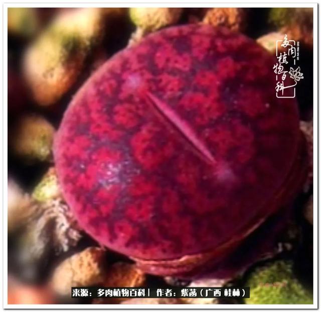 郑州新型泥土洗砂机