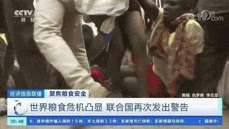 小麦青储疑云，把没熟的麦子割了怎么可能更赚钱？
