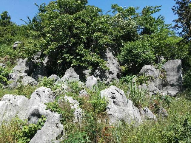 走吧，去北山