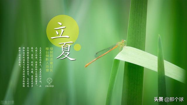 立夏，向阳而生