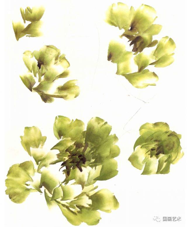 国画牡丹花头的三种基本画法,10招教你画好写意牡丹花头_犇涌向乾