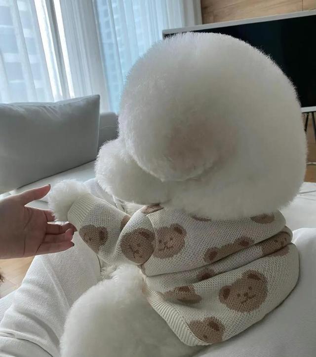 人生励志箴言，不要取悦别人，跟随自己的步伐，找到人生的意义