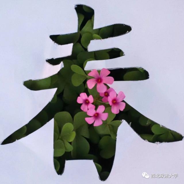 什么？在西法大，spring还有这个意思!