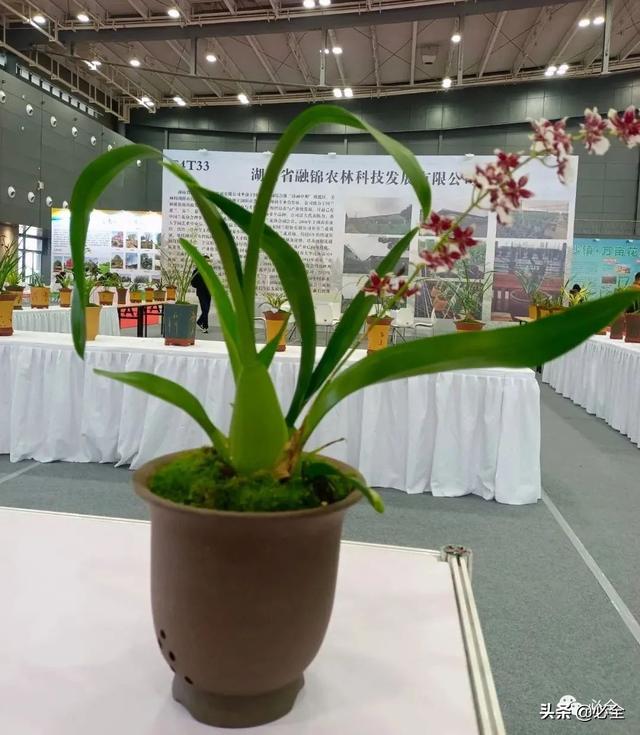 长沙机械展2021几点