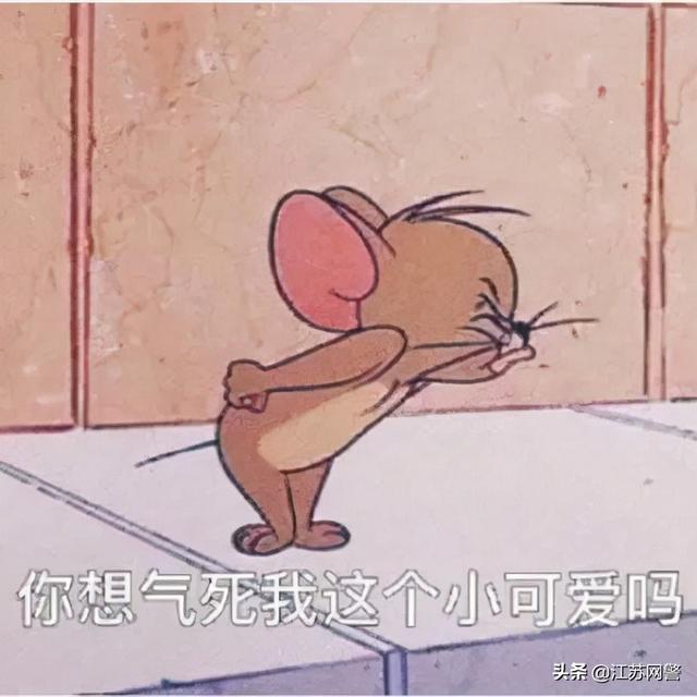 斗气别车可以举报吗，江苏南通：网友：“我要举报恶意别车”，南通交警：必须安排！