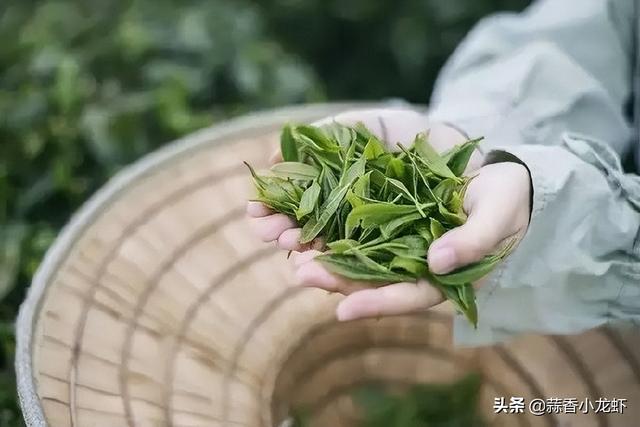 明日谷雨，记得多吃这几种食物，营养丰富，平稳入夏