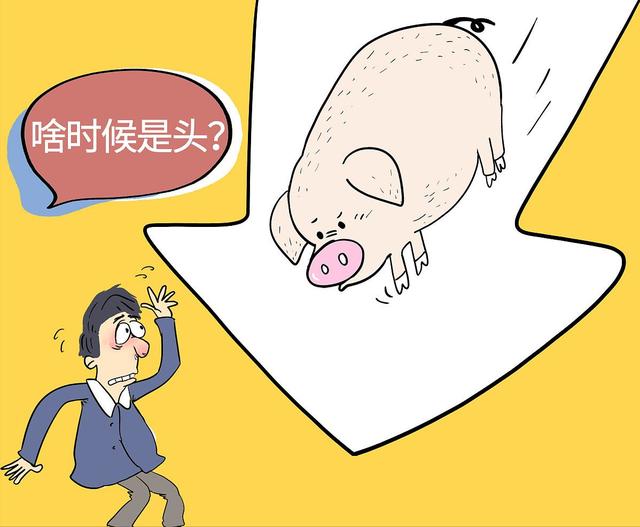 果然！猪价“坐滑梯”，消费掣肘出栏增量，猪价跌回“6字头”？