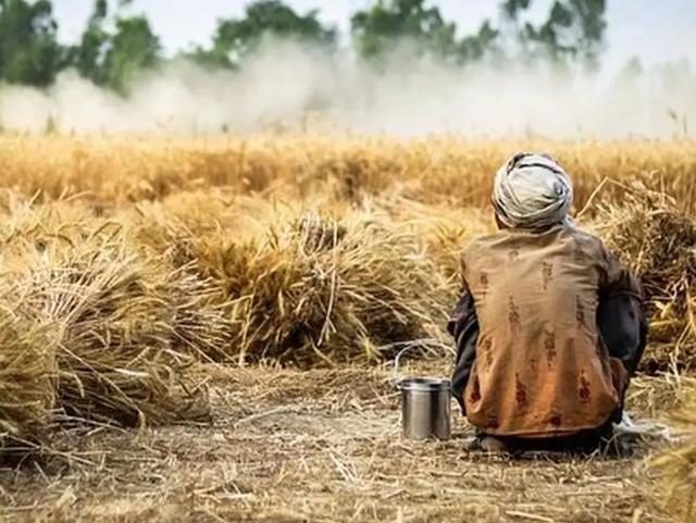 世界粮食危机正在靠近？中国粮仓还安全吗？专家又是如何看待的