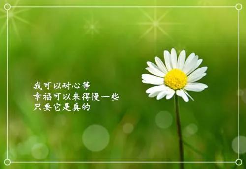 什么时候开始，我们变得不敢说出心底最真实的想法