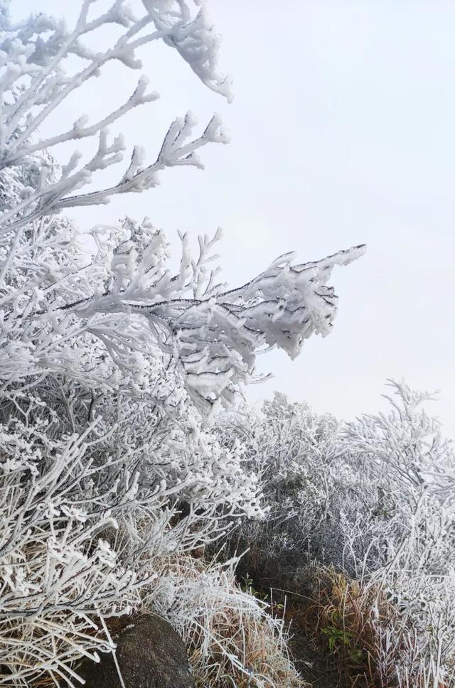 广东四大雪景（广东雪景图）