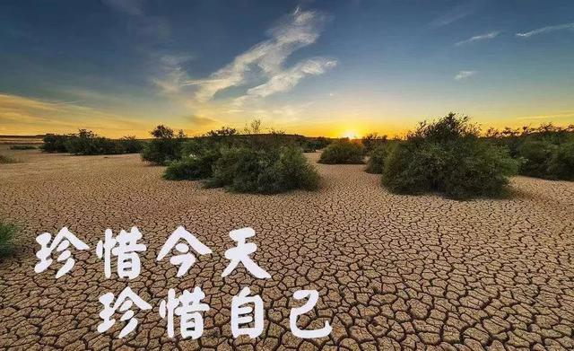 现代诗丨珍爱生命 活出最好的自己