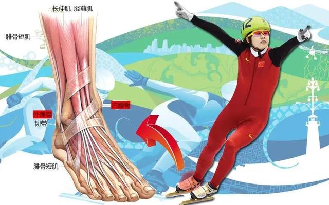 生涯共获得77块金牌，解说火出圈的王濛，为何三次被国家队开除？