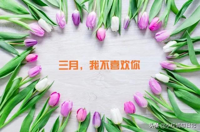 散文：三月，你滚吧