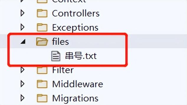 .NET6 中的静态文件怎么搞？