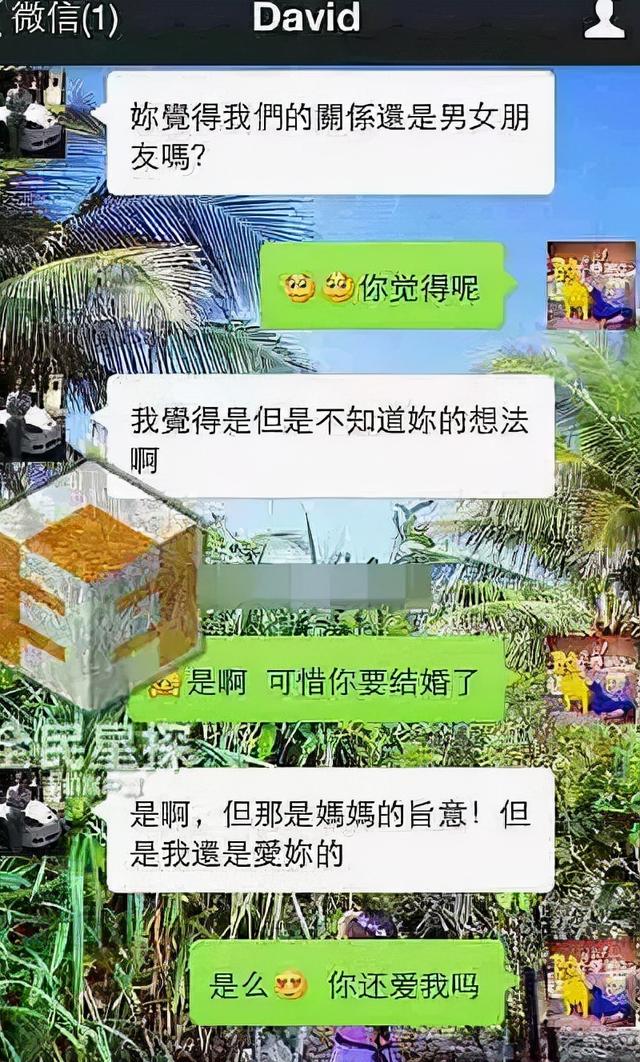 柳丁是什么