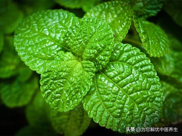 鼻炎常用药