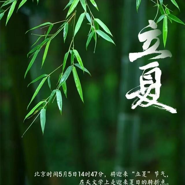 文案丨关于立夏的优美句子摘抄丨优质文案
