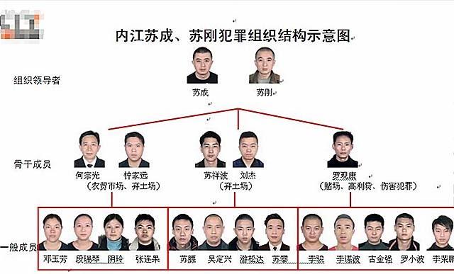 18年四川苏家兄弟落网，曾豪夺数千万财产，当地民众“谈苏色变”